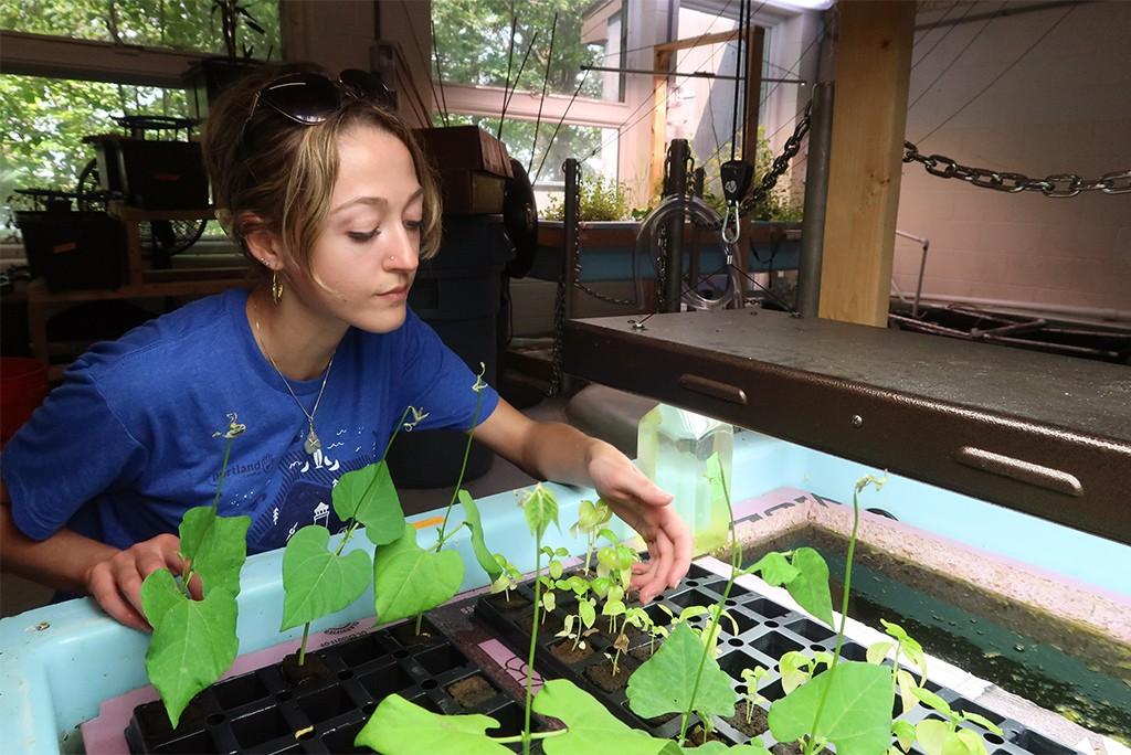 A U N E student checking on their hydroponically grown plants