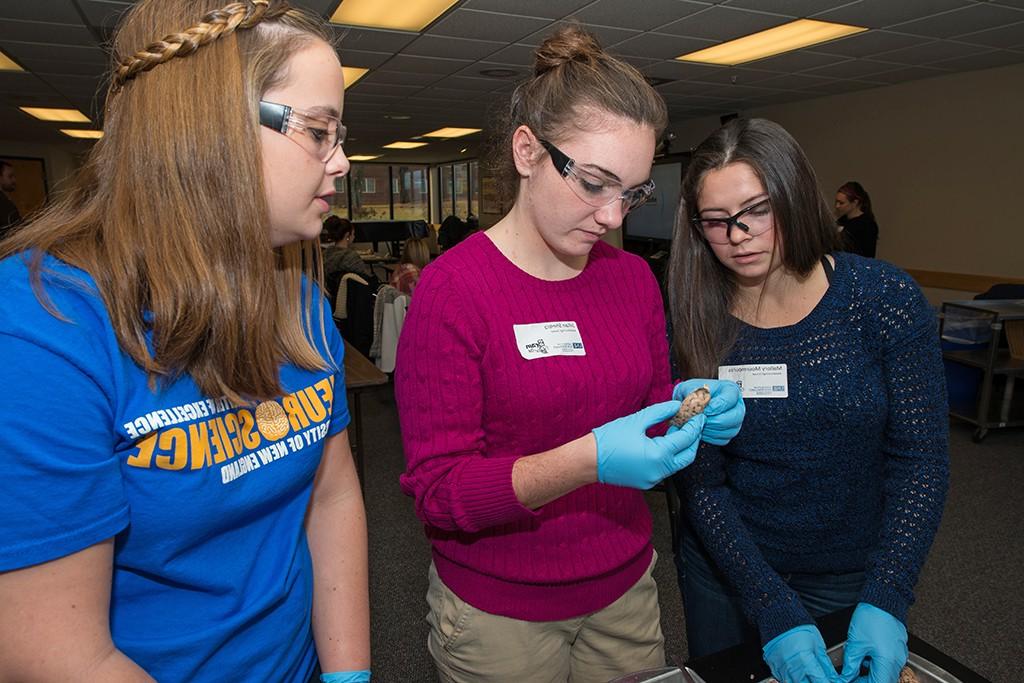 Three neuroscience students looking at a piece of brain