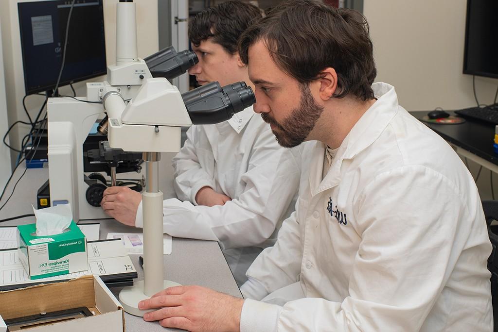 Two U N E students look through microscopes